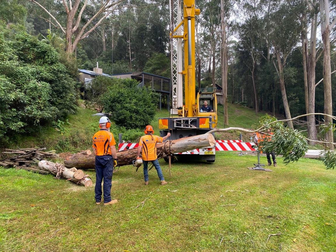 A Noble Arborist crew using a crane to remove a large tree on an acreage property