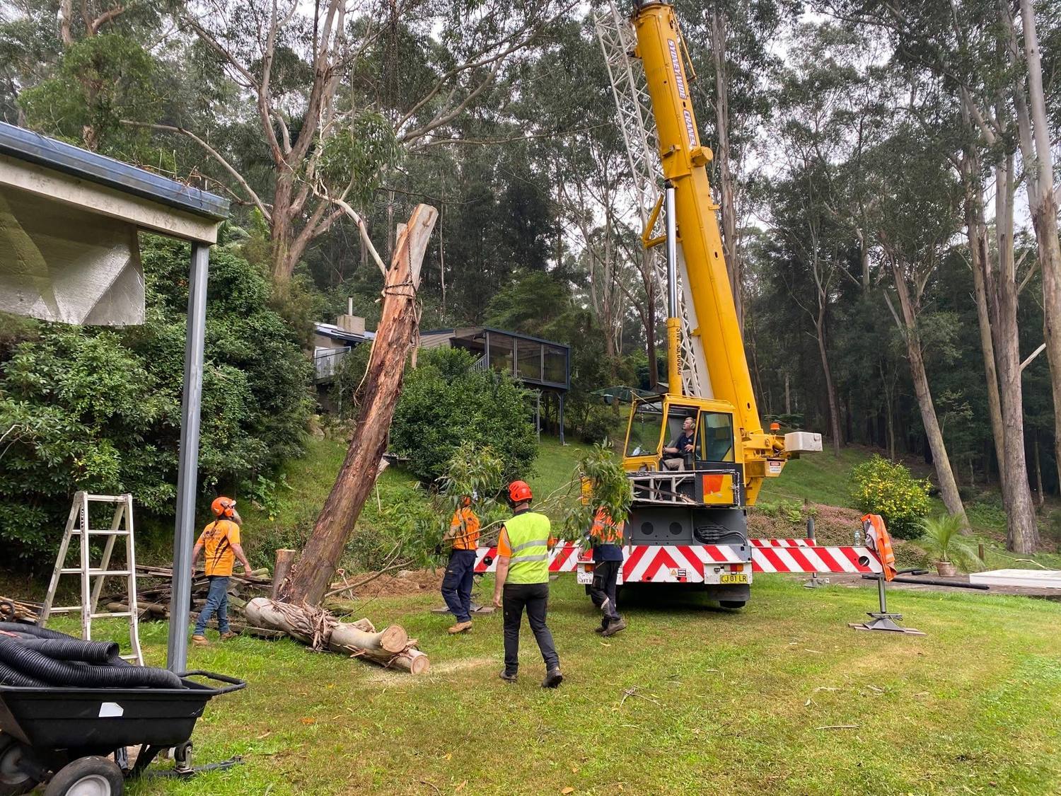 A Noble Arborist tree work
